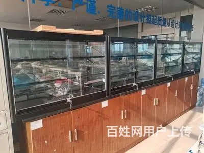 二手展柜厦门玻璃柜饰品柜手办柜模型柜 - 图片 7