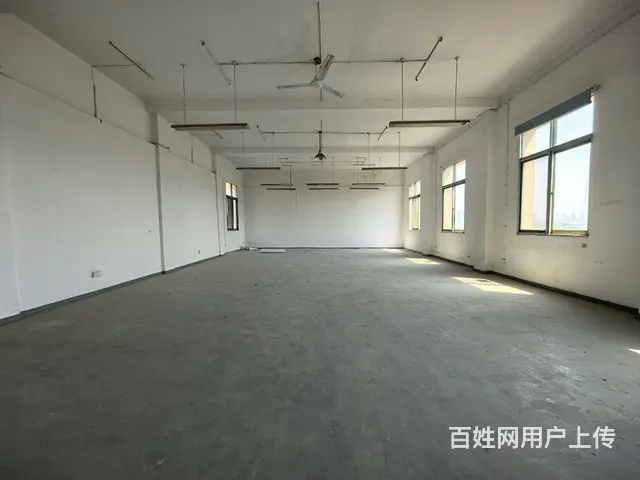房东直租独栋庭院/停车方便 - 图片 3