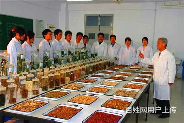 淄博卫校，春季招生已开启报名通道 - 图片 1