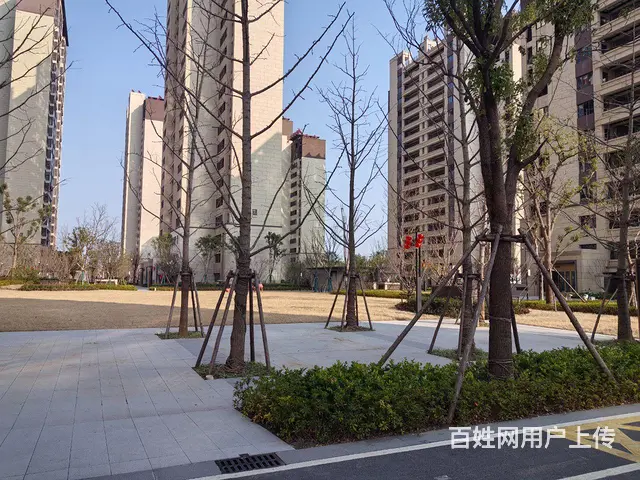 张浦江湾四季房东直租无中介费，随时看房。。 - 图片 2
