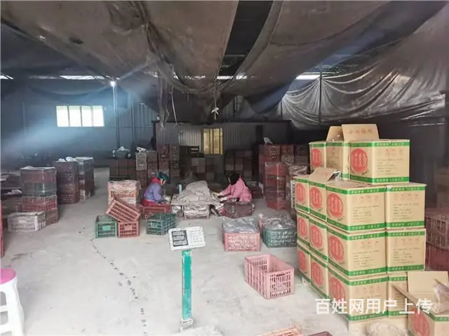 广汉市南丰镇1000㎡厂房+场地（约12亩）、鱼塘（约4亩） - 图片 9