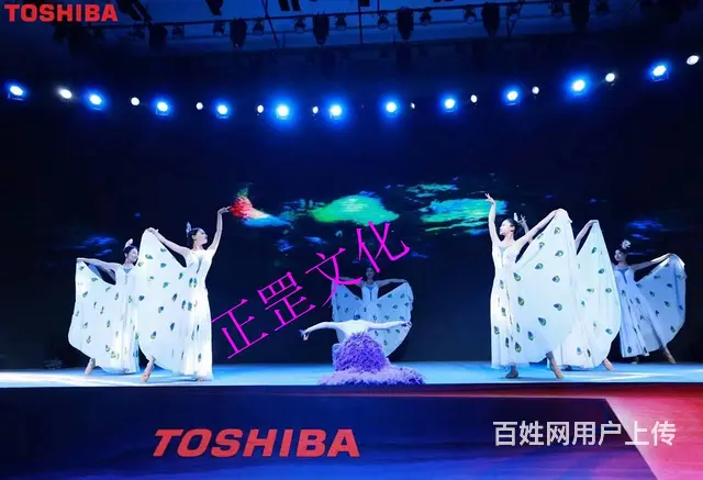 活动策划、舞美搭建、灯光音响、礼仪模特、演出表演 - 图片 7