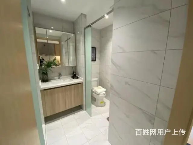 湖塘   春秋淹城旁首付20万璞越春秋挑高朝南现房 南北通透 - 图片 5