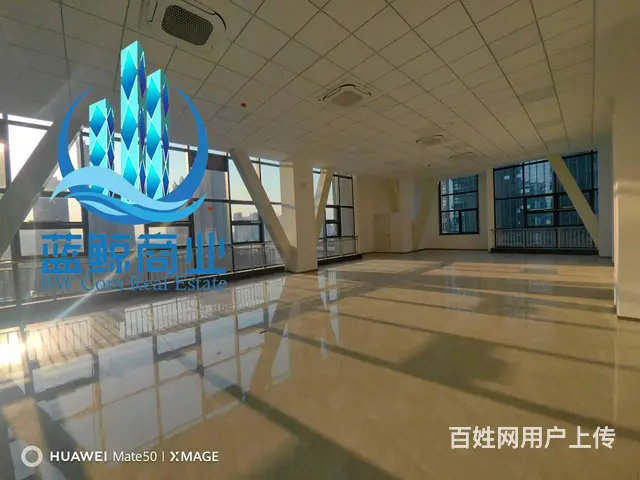 金开区软件园1000平整层办公楼出租 - 图片 6