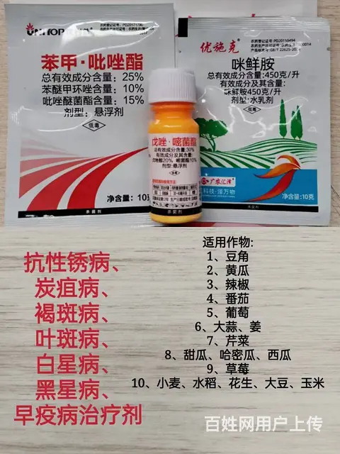 豆角黄瓜辣椒抗性锈病炭疽病靶斑病解决方案 - 图片 4