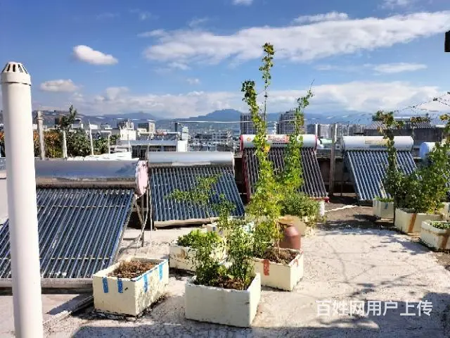 阳光学校    出售（小区内设幼儿园 - 图片 2