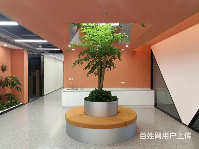 泰豪数娱中心，4号6号线华中南路，精装拎包出租，多套可挑选！ - 图片 3