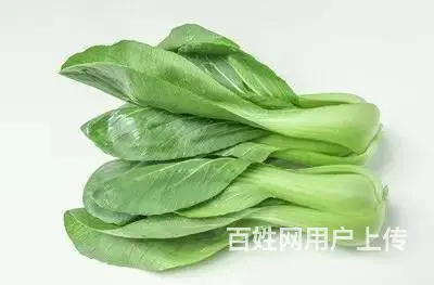 苏州农产品蔬菜批发配送 - 图片 6