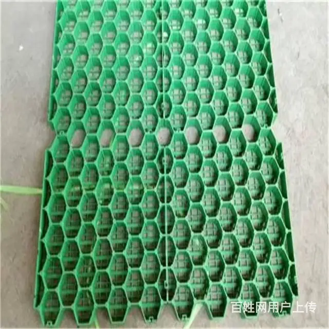 聚乙烯种草板,植草砖珠海源头厂家现货批发供应免费 - 图片 2