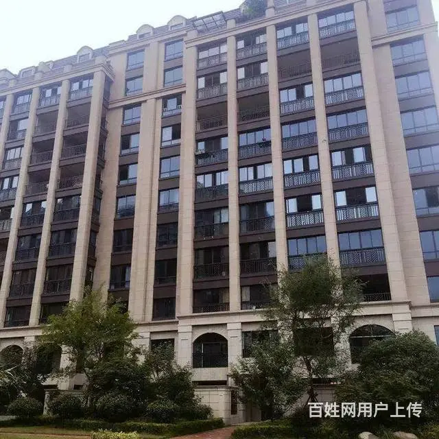 篁庭.安吉地标性建筑.三甲医院就在旁边周边多所学校 - 图片 9