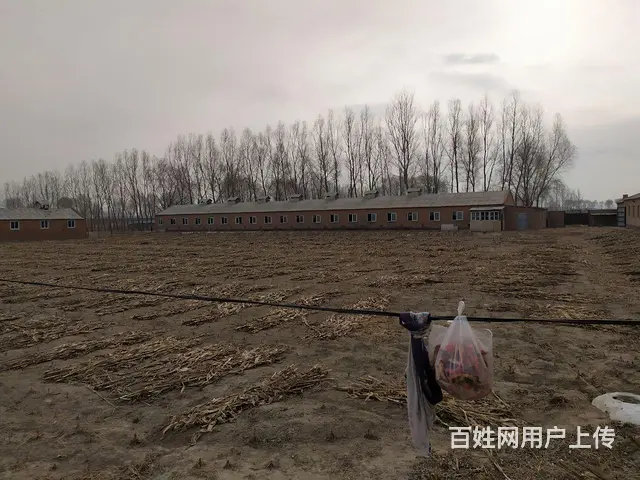 养殖场出售 - 图片 1