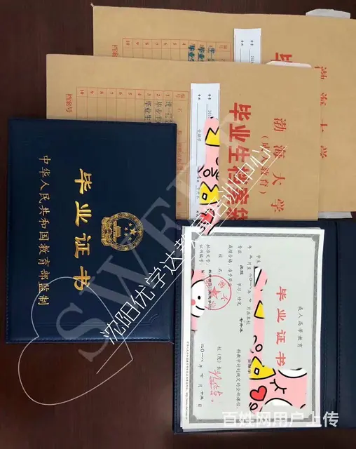 辽宁成人高考专业院校全学制低至两年 - 图片 1