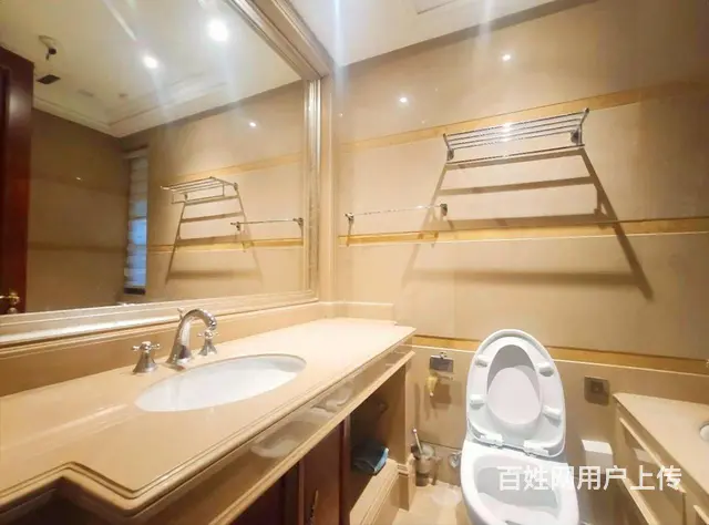 绿城桂兰豪宅推荐九龙仓君玺    方 四叶草 全明户型急售 - 图片 3