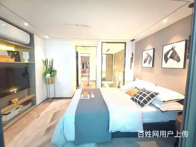 政府财税奖补明湖中对面 高铁站轻轨口复式挑高 央企开发 - 图片 5