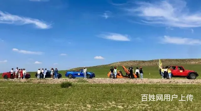 近距离观察立属于天地之间，傲立于大自然的勇者——狼 - 图片 4