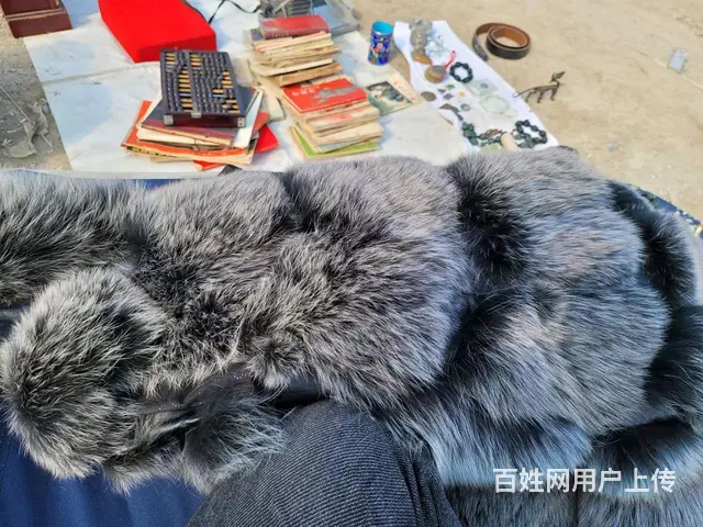 貂皮大衣一件出售 - 图片 4