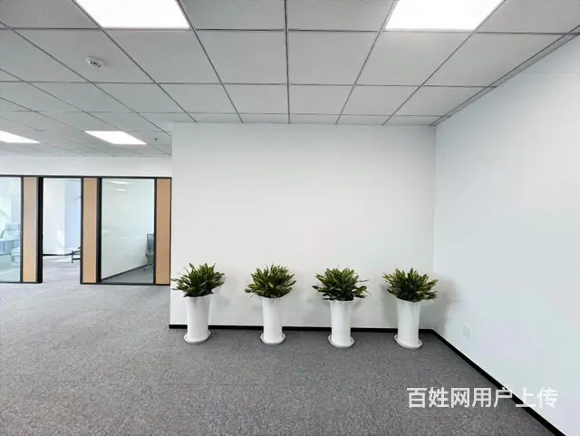 滨江中赢星海  甲方直租 精装拎包入驻 得房率非常高 - 图片 5