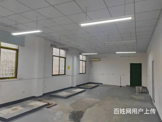 （老板本人）天心区大托铺独门独院厂房仓库低价出租  6016 - 图片 8