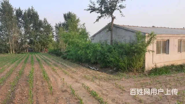 出租出售农村大院 - 图片 4