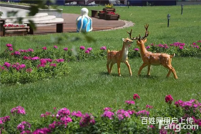 低首付】毛坯现房】H户型】南北通透】随时看房 - 图片 5
