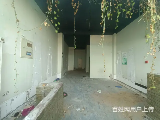 天城一品小区东南门门口 - 图片 5