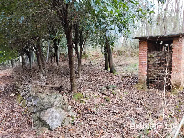 田园民居 - 图片 3