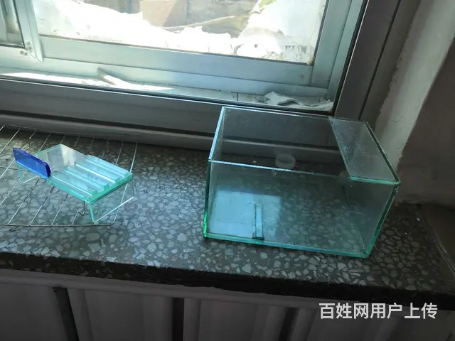 鱼缸出售 - 图片 3