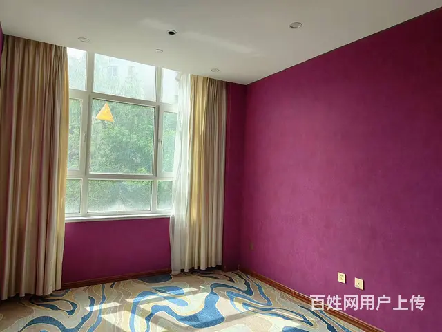 B个人一豪帅丽都商铺对外出租 - 图片 7