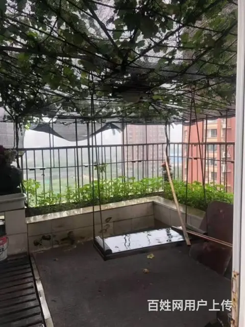 美林湖旁香树湾名苑复试 楼上楼下露台 空中花园 葡萄园 菜园 - 图片 2