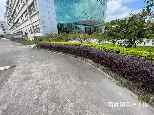 珠海市香洲区唐家湾国有证厂房出售11000平方42 - 图片 7