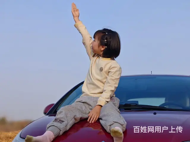 同城征婚，非诚勿扰 - 图片 4