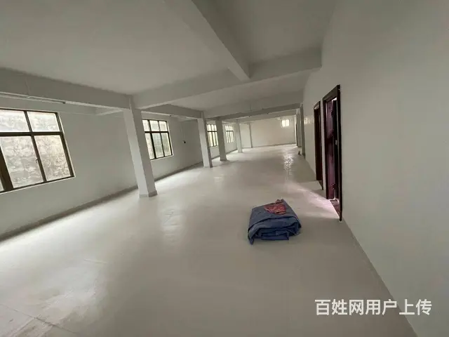 （51旺铺推荐）仓库招租独栋美跃村300平 - 图片 9