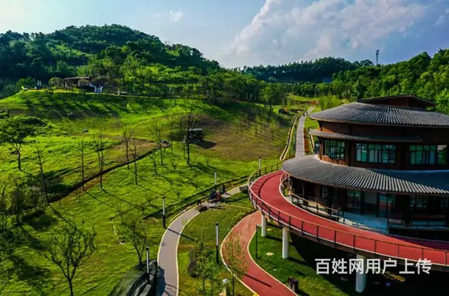 杭州第十区、临安锦南、亚运村、地铁口、总价130W左右 - 图片 10