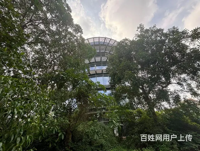 横琴独门独院厂房招租 空地1.7万平米 花园空地免 - 图片 2