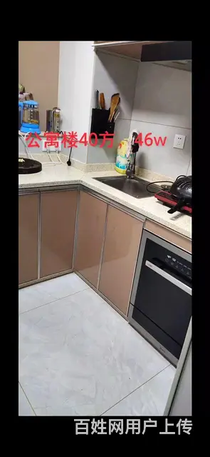 急售东洲商务有多套 - 图片 3