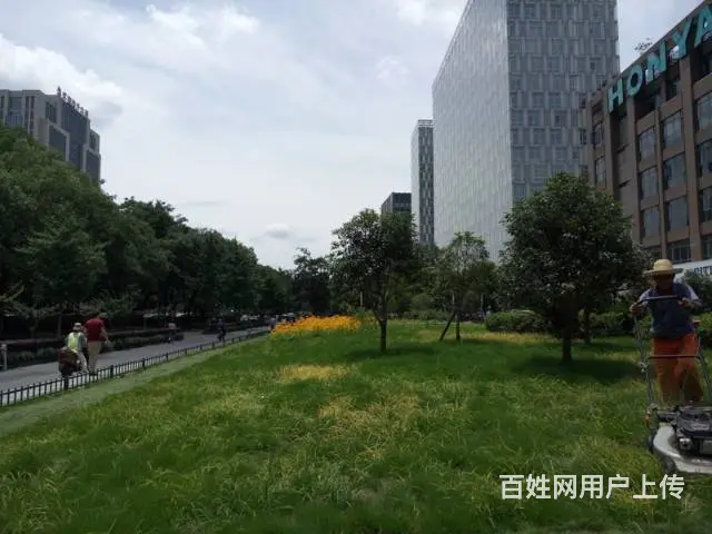 环境优美有书吧休闲区，在天目山路支付宝旁华鸿大厦 - 图片 11