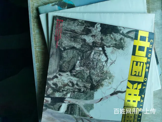 中国油画精装本 - 图片