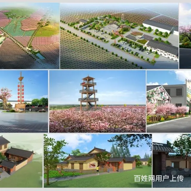 品牌策划规划设计 - 图片 2