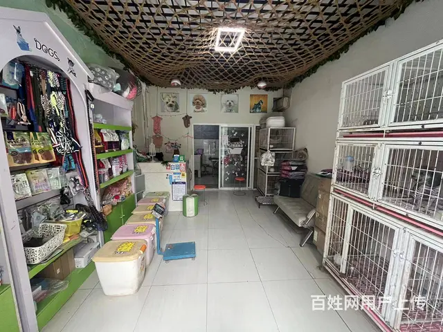 （弘扬快讯）东区城置经营6年宠物店转让，接手即干，生意稳定 - 图片 2