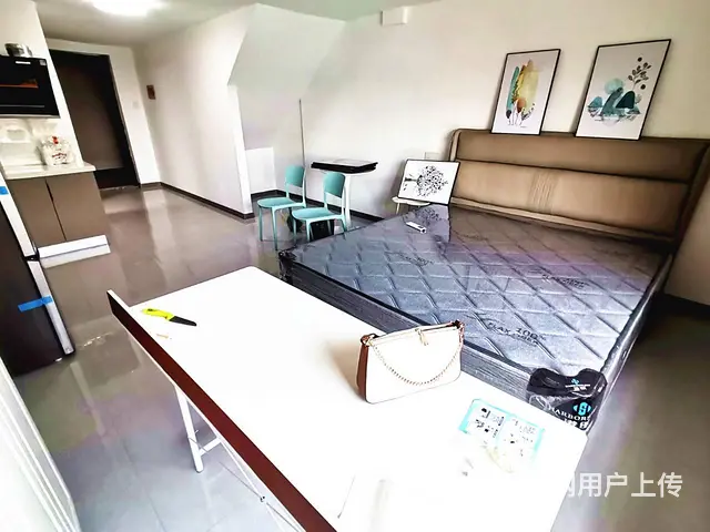 文沃广场 公寓1厅 精装修 - 图片 5