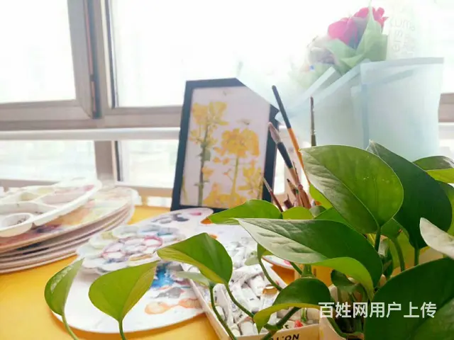 临沂美术短期辅导辅导培训班成人素描学习班 - 图片 3