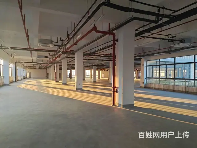 高新区厂房出租，配套齐全，各种补贴 - 图片 12