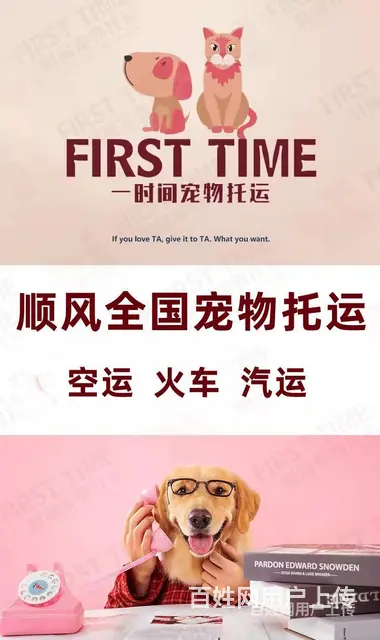 2022/吐鲁番宠物托运（猫狗）邮寄快递（宠物活体运输 - 图片 5