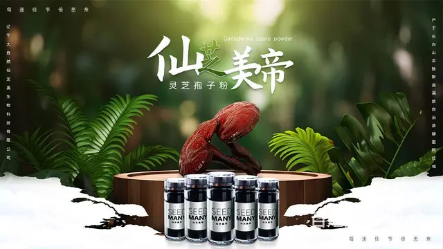 沈阳PPT设计，PPT制作选鸿睿设计工作室 - 图片 1