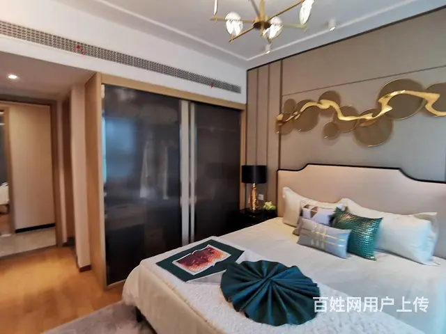 员工特价房雅居乐来电立减5万送家具家电车位轻轨高铁旁环境优美 - 图片 8