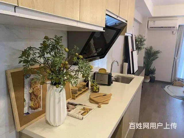 西溪美岸，未来科技芯，4.79米双钥匙双户，阿里全 - 图片 3