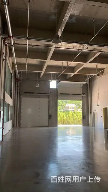 孟津产业园区，满足各种需求，一站式管家服务，高挑高，柱距8米 - 图片 6