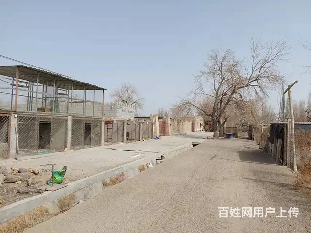 B个人一和什里克乡萨依勒克村梨园宅基地对外出售 - 图片 12