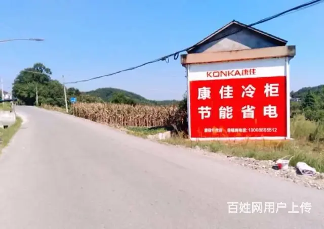 四川墙体绘画,眉山建材墙体刷墙广告,旺苍县墙绘 - 图片 3