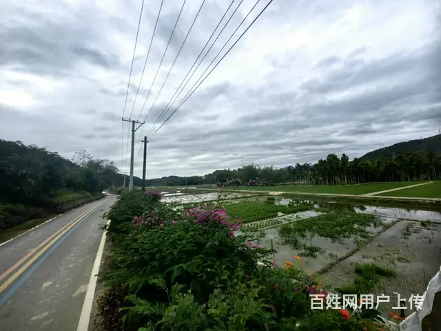 （51旺铺推荐）三亚学院旁1000平土地出租 - 图片 1